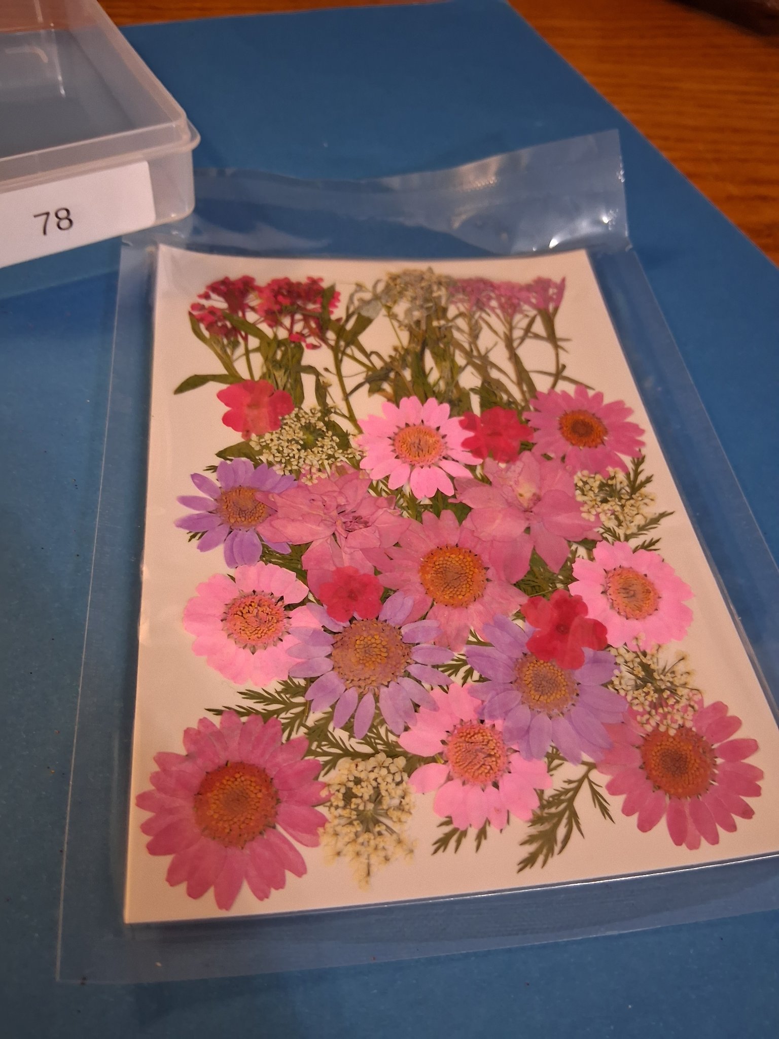 Our Materials — 78C Pressed Flowers (Purple & Lavender)
